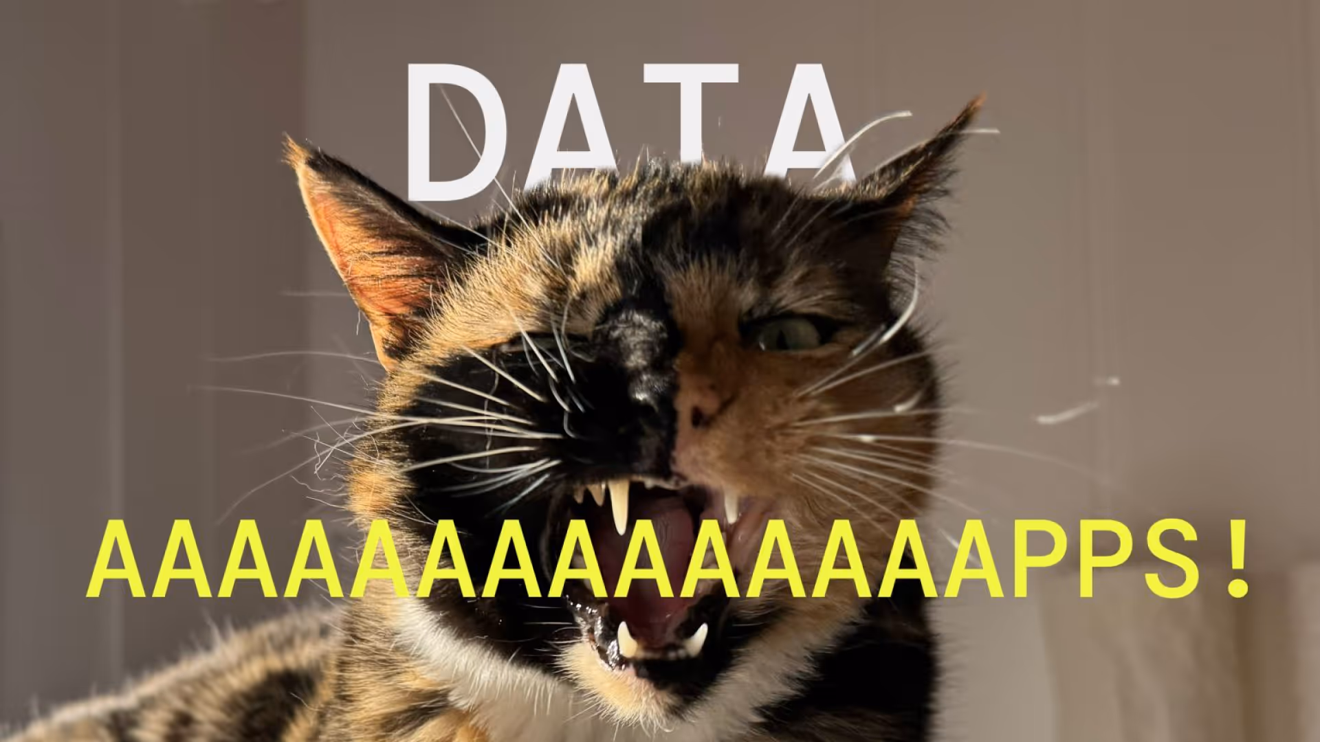 Data Apps Campaign for social 